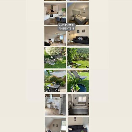 Ferienwohnung Ambiente II Und III Klotten Exteriér fotografie