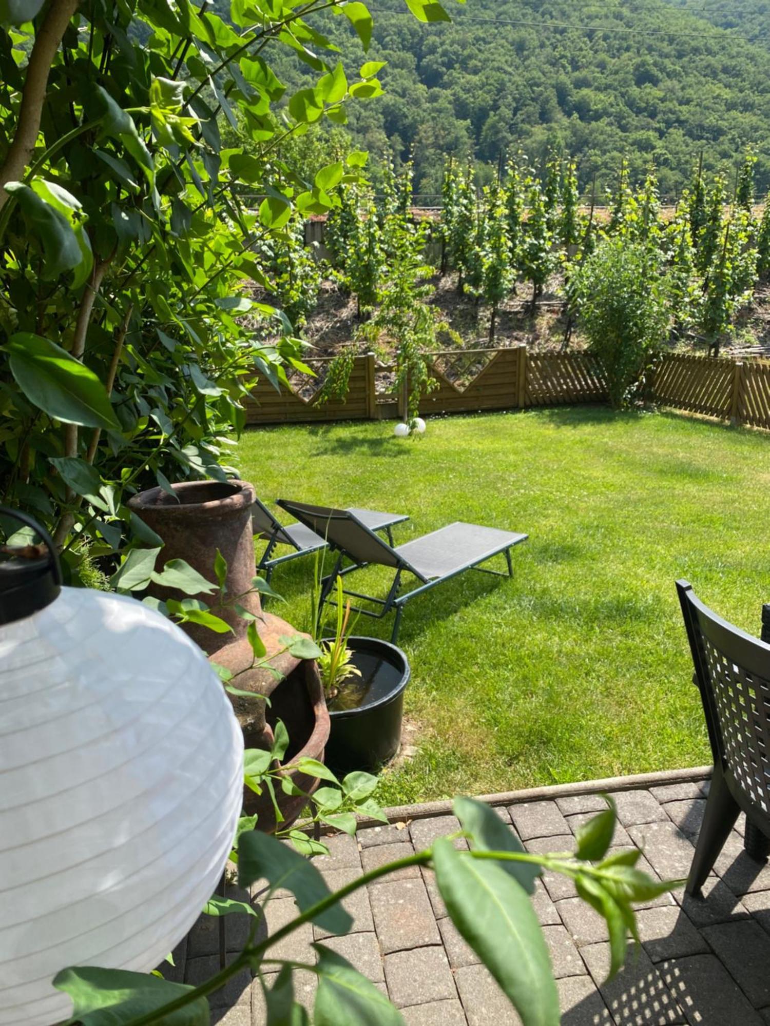 Ferienwohnung Ambiente II Und III Klotten Exteriér fotografie